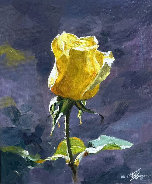Yellow Rose 12×10 inch Oil Floral Painting Image
