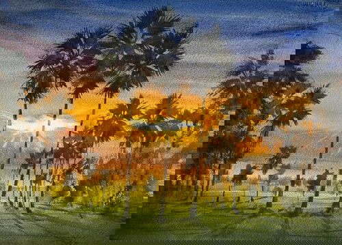 Golden Horizon Size: 15x11 inch Medium: Watercolor on Paper Image