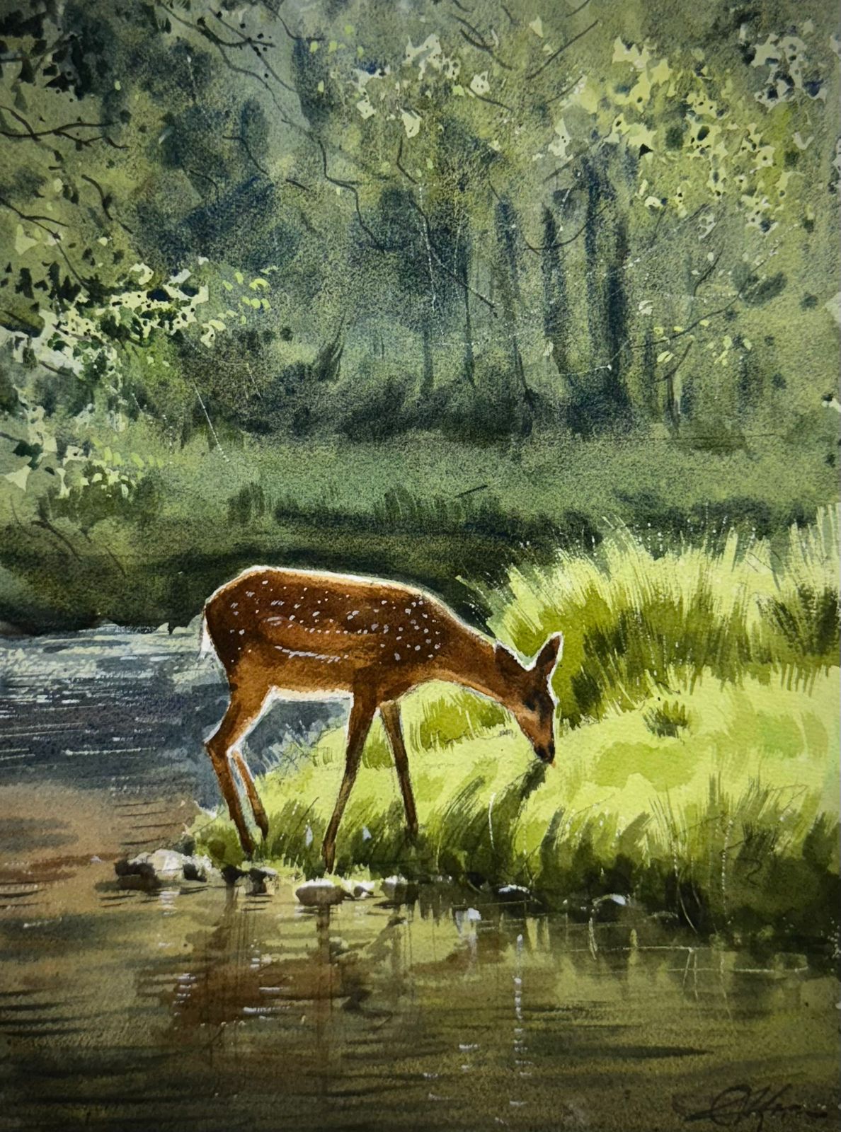Gentle Pause by the Stream Deer Watercolor Painting 15x11inch Image