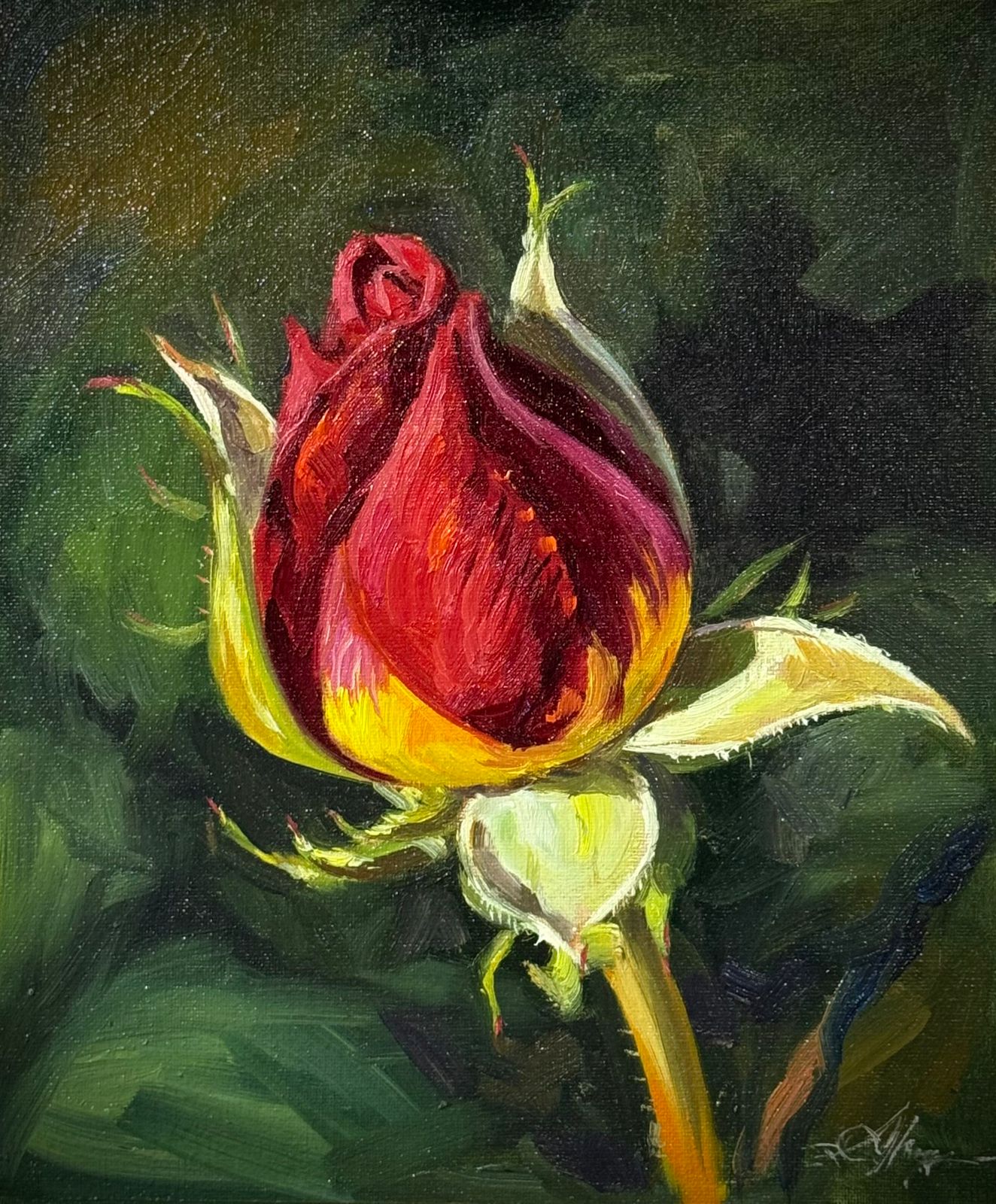 Whisper of a Rose 12x10 inch Oil Red Rose Painting Image