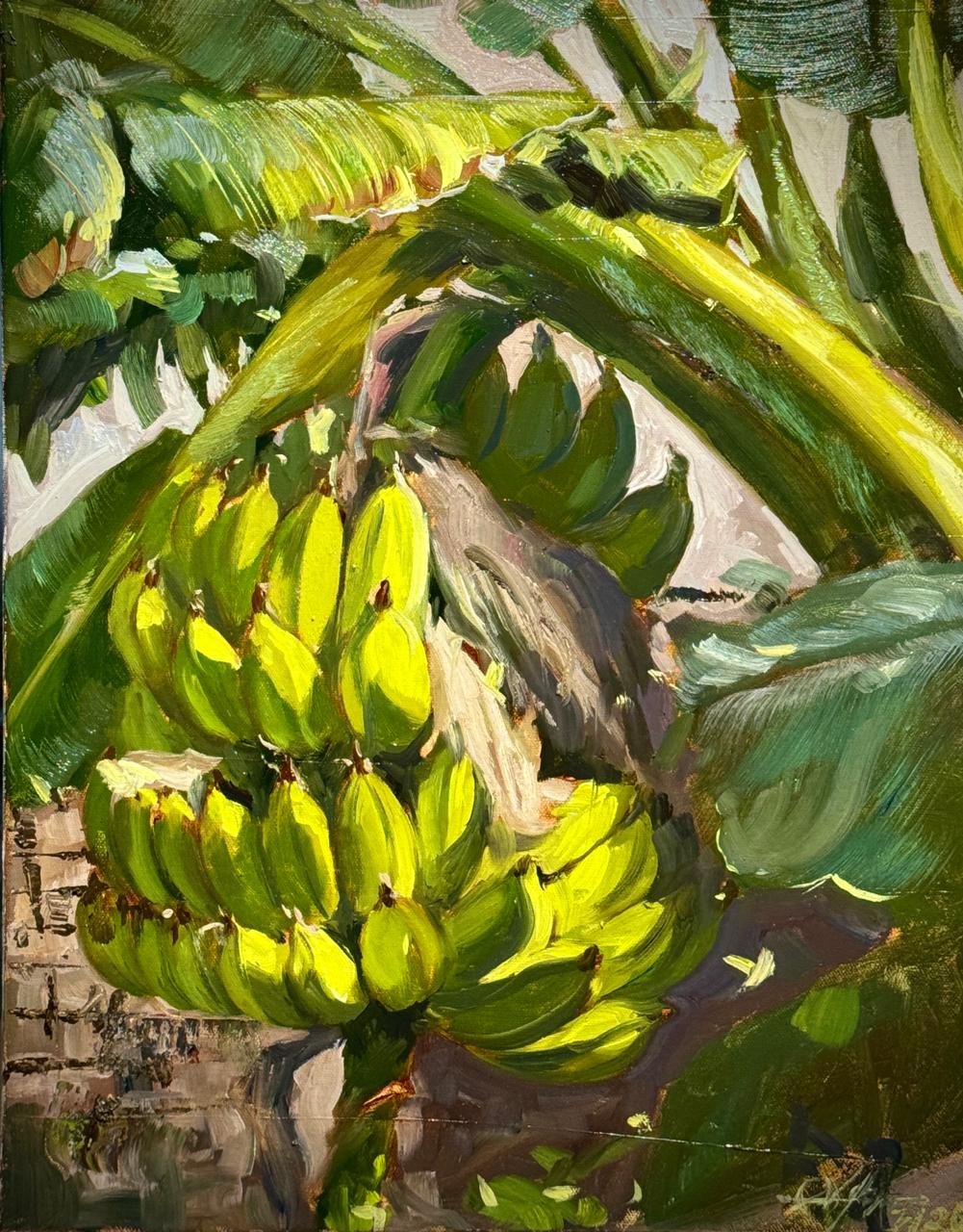 Banana Grove Harmony | Oil on Canvas | Size  18 × 12 Inches Image