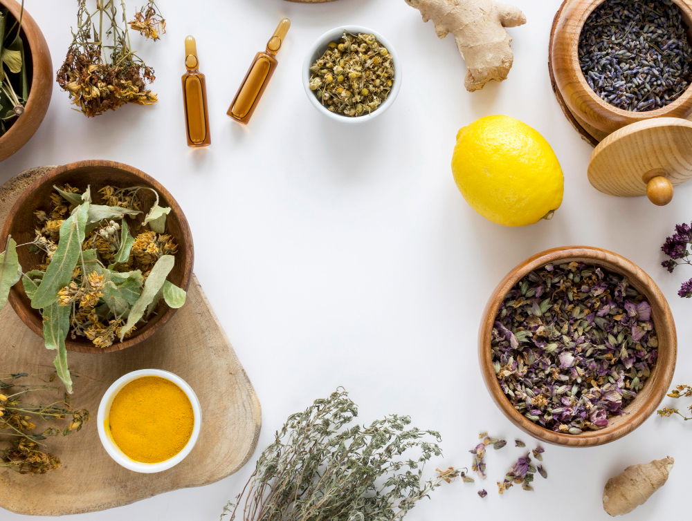 About Nature Care Ayurveda