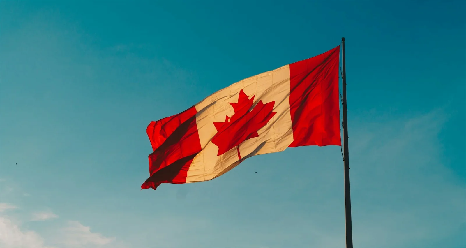 Ontario invited 781 international students to apply for a nomination for  Canadian permanent residency (PR) on August 30, 2022 | WWICS Blogs