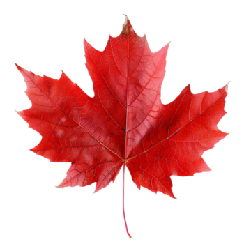 Express Entry Canada 