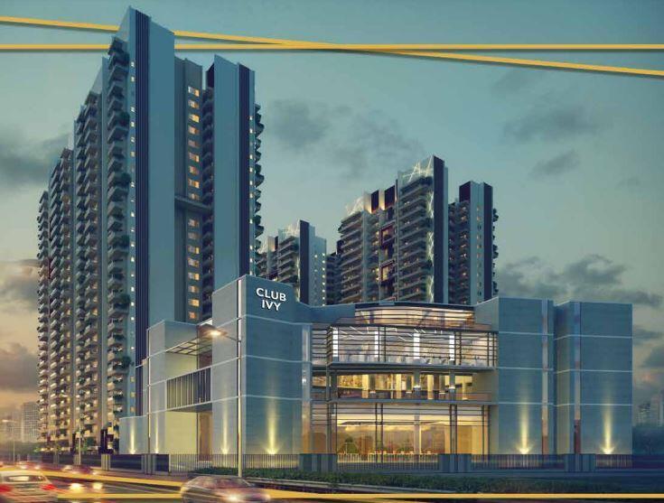 Ivy County noida