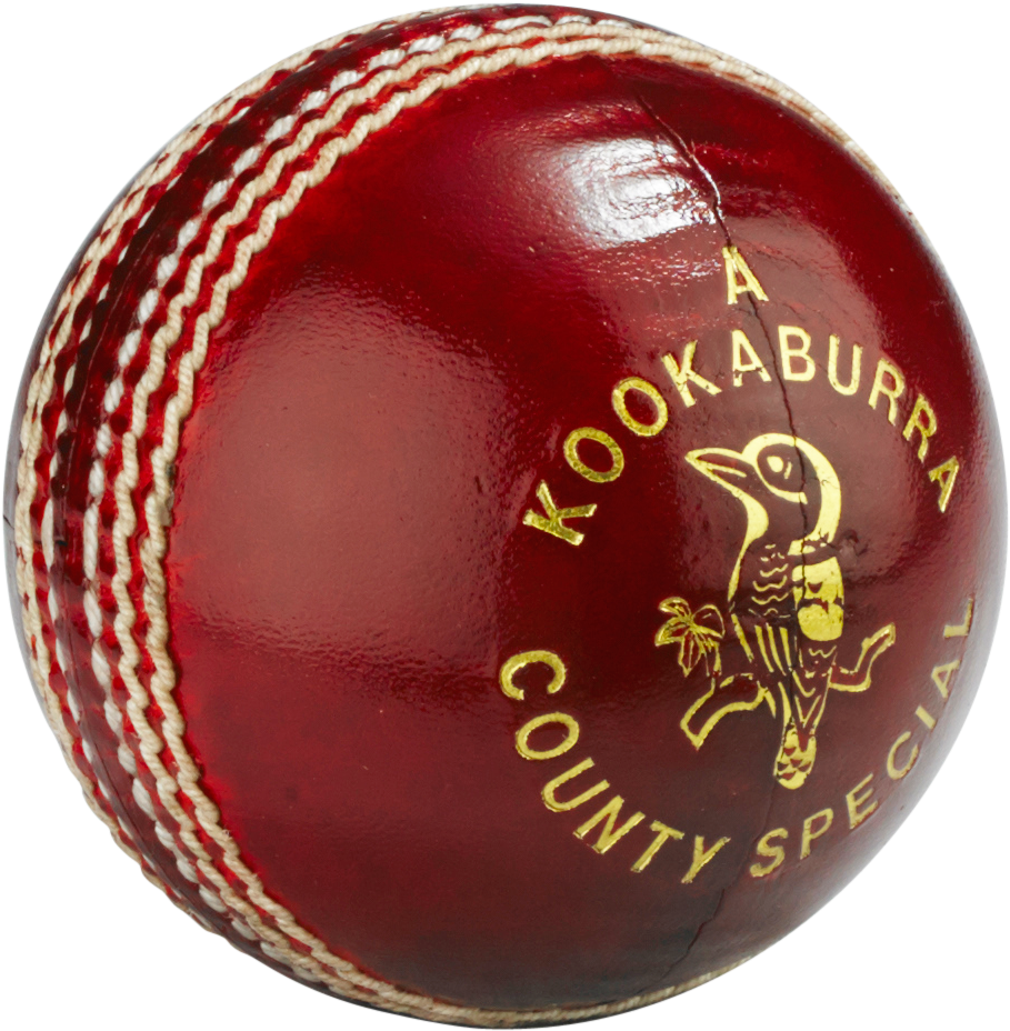 ProElite Cricket Ball Image