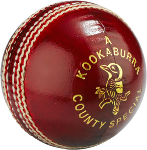 ProElite Cricket Ball Image