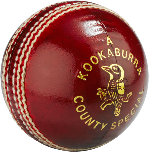 ProElite Cricket Ball Image