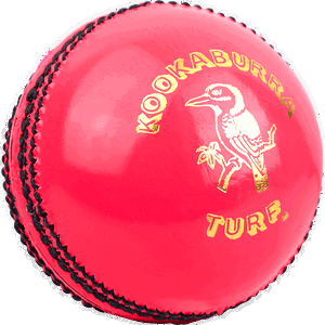 ProElite Cricket Ball