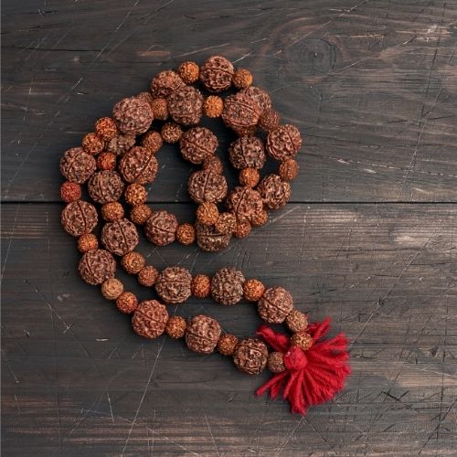  Rudraksha