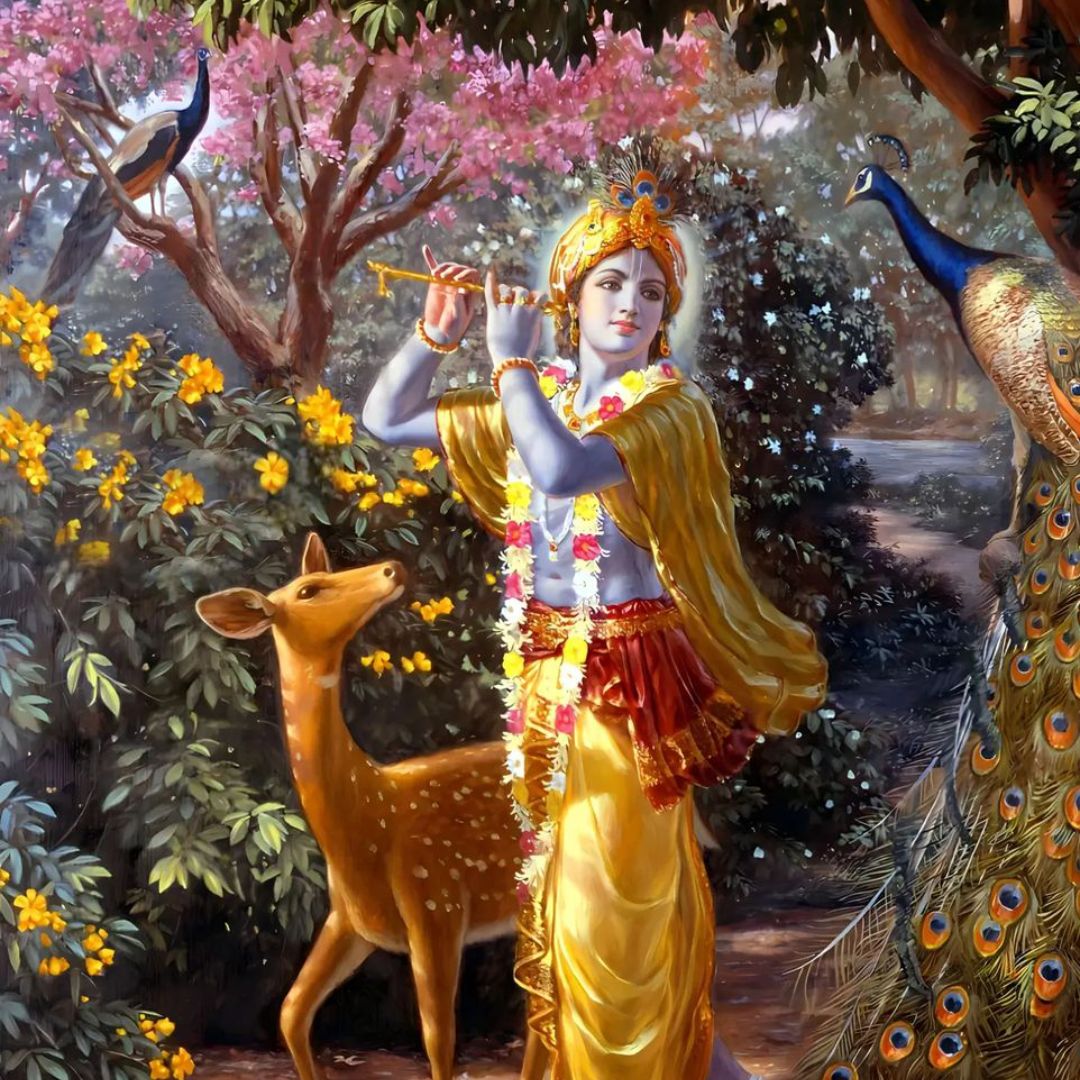 Krishna Puja