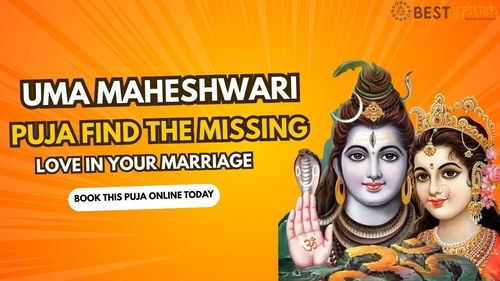 Uma Maheshwari Puja: Find the Missing Love in your Marriage. Image
