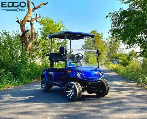 2-Seater Electric Golf Cart Image