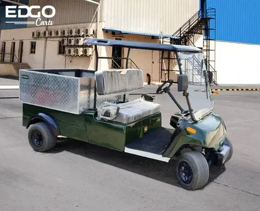 2-Seater Electric Golf Cart Cargo Image