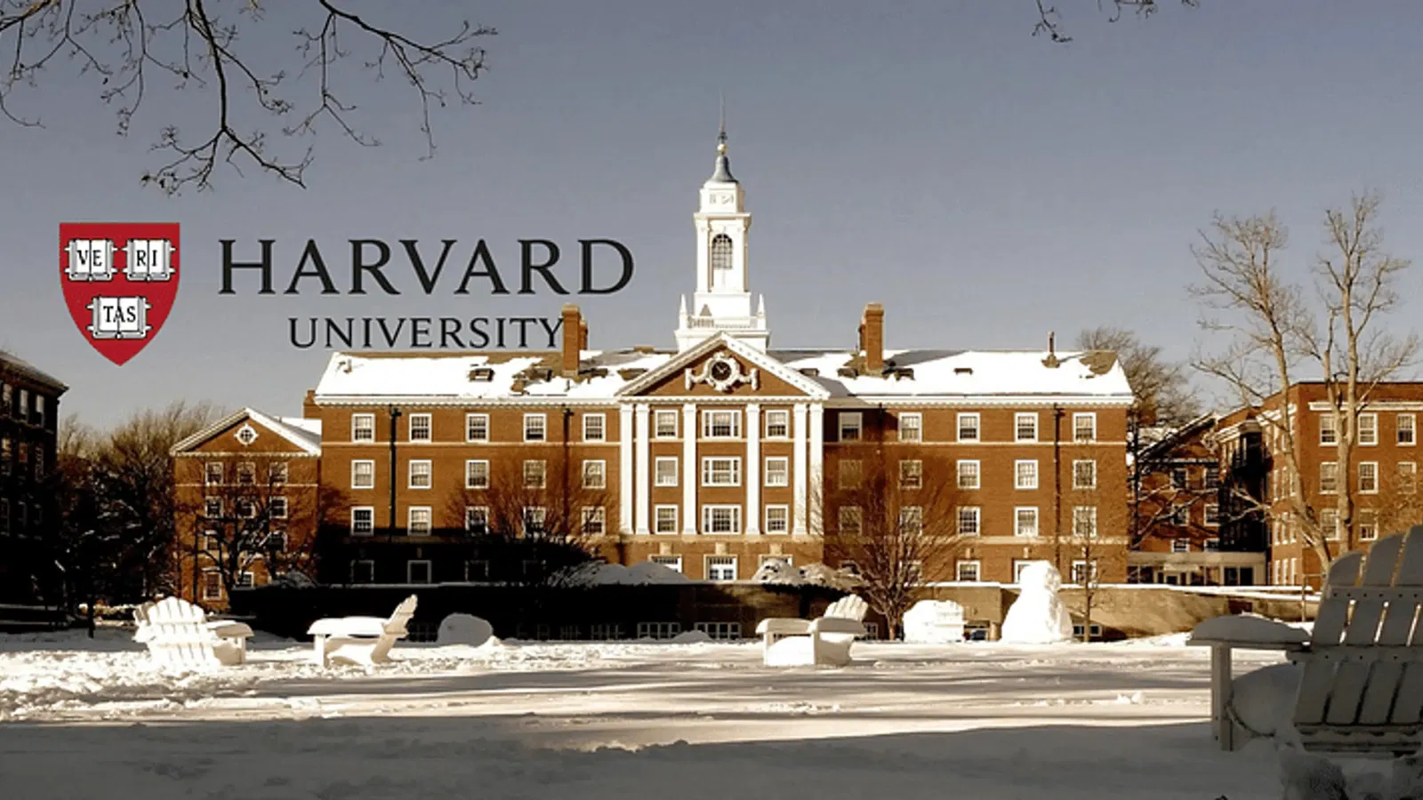 harvard-university