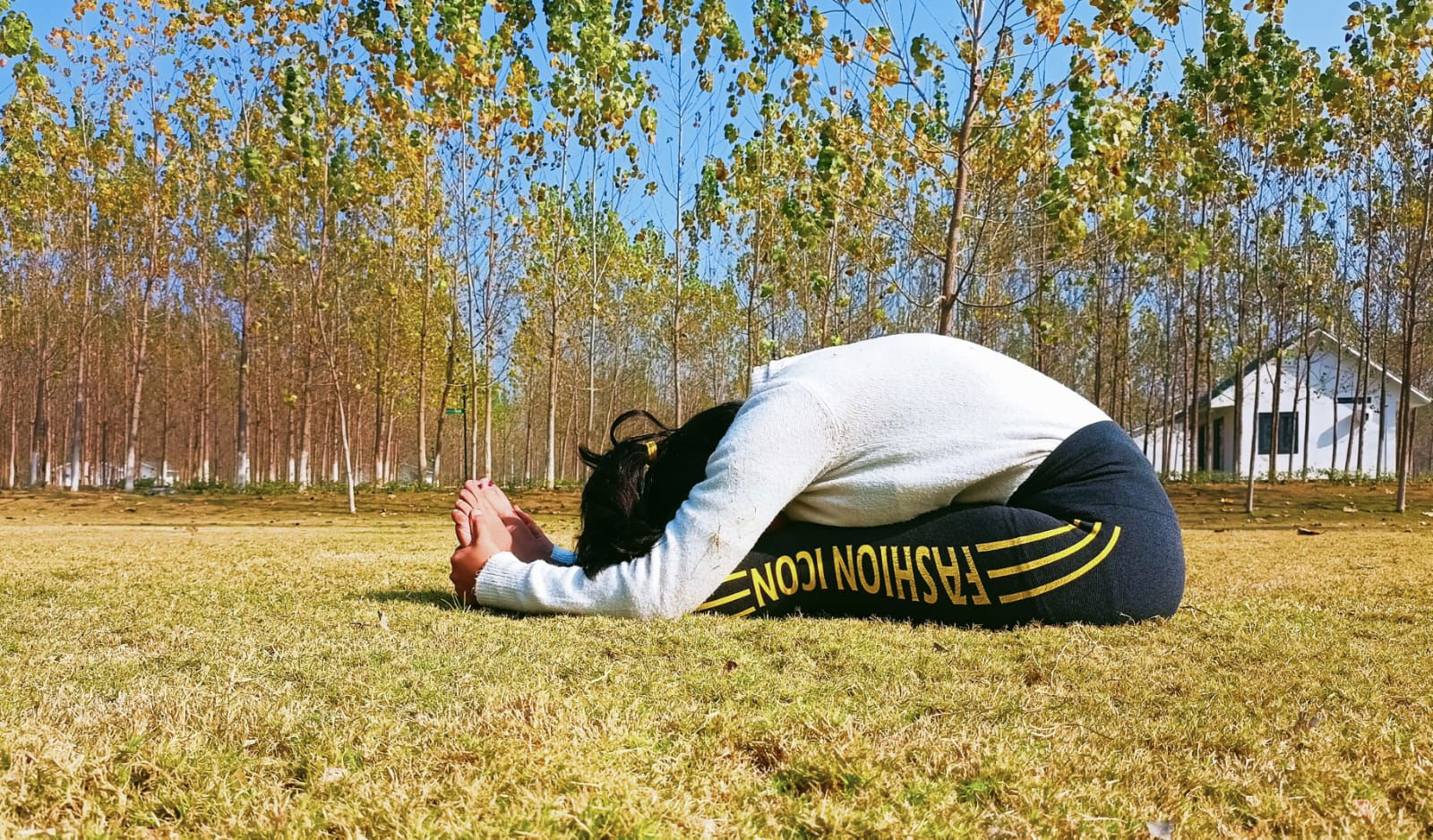 Paschimottanasana