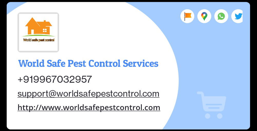 Best service best solution 