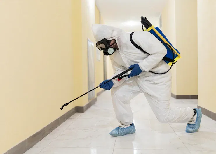Best pest control in Malad termite 