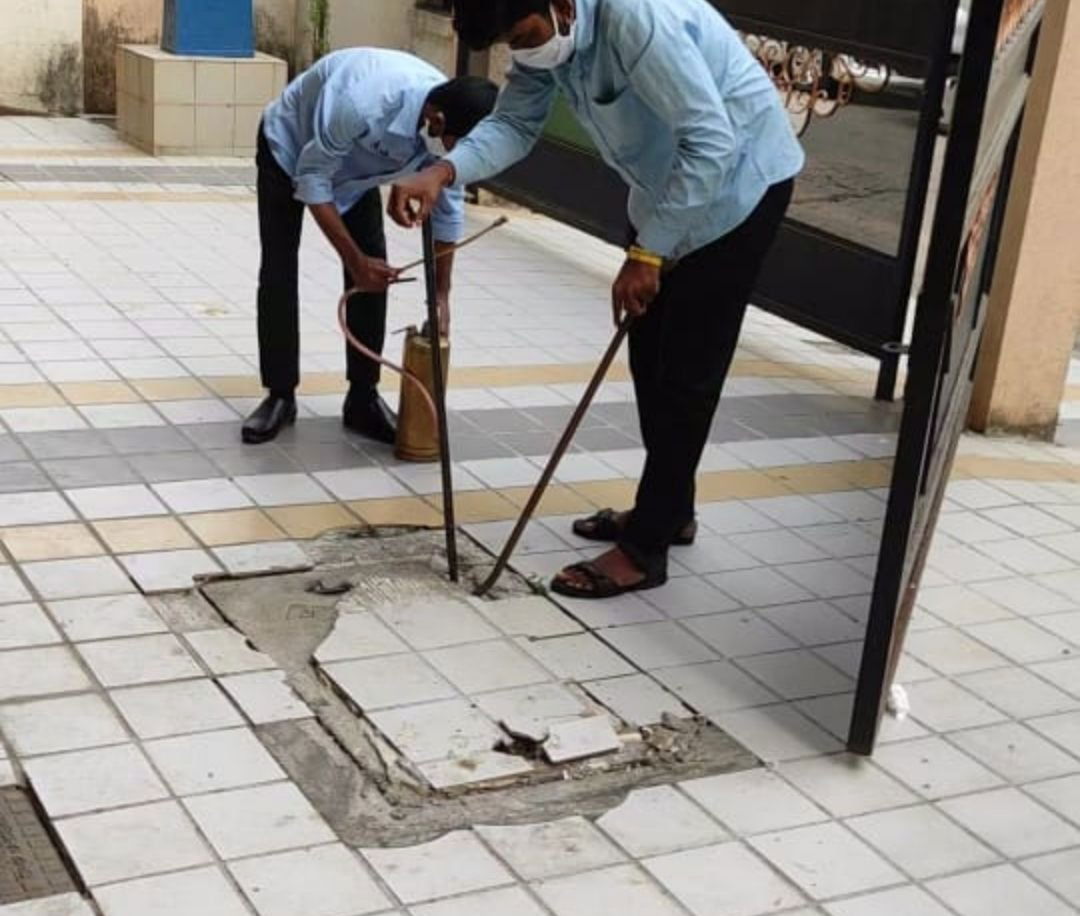 Pest control society near me 