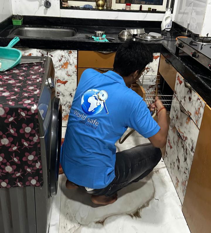 Pest control residential