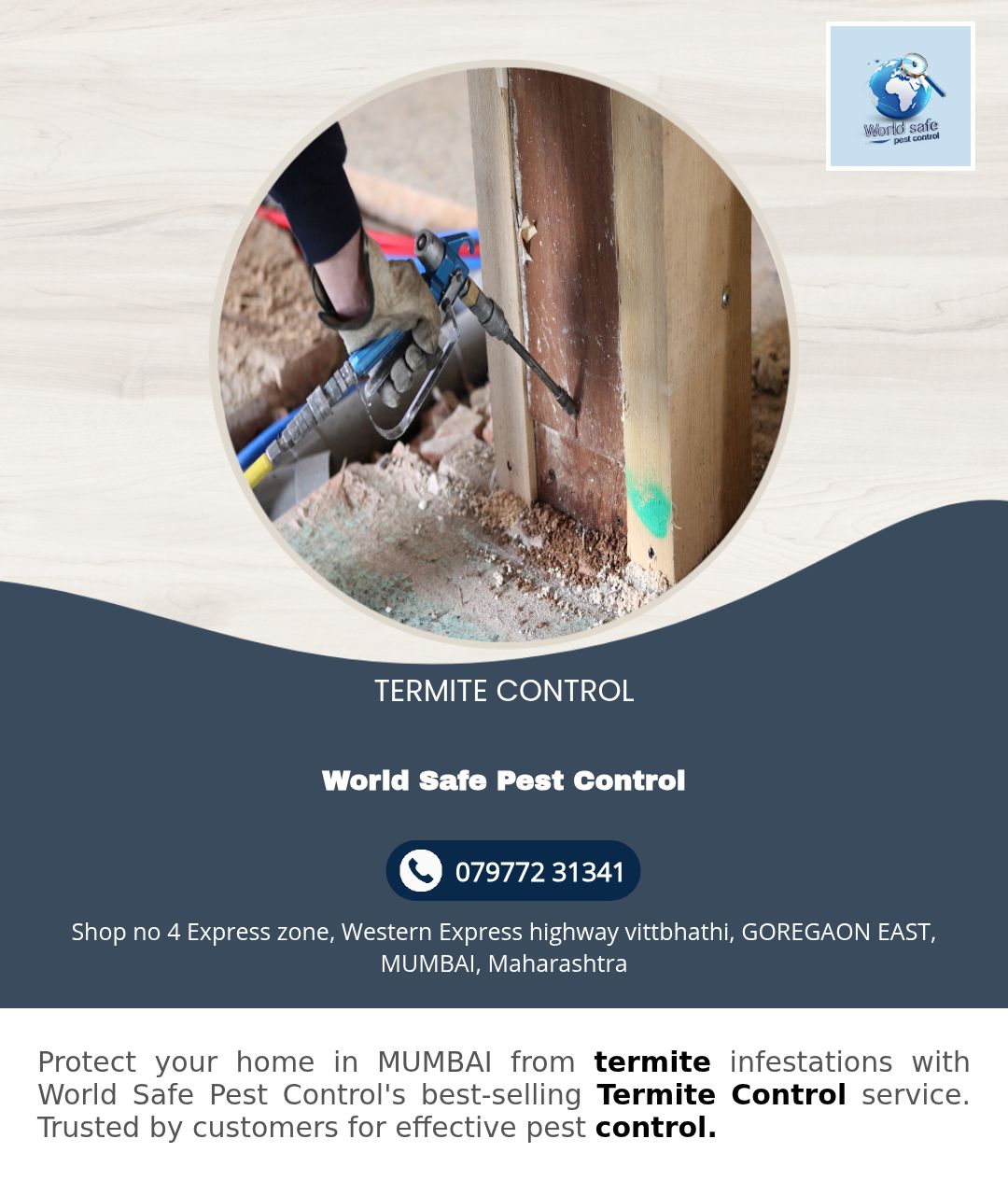 Termite control in malad 