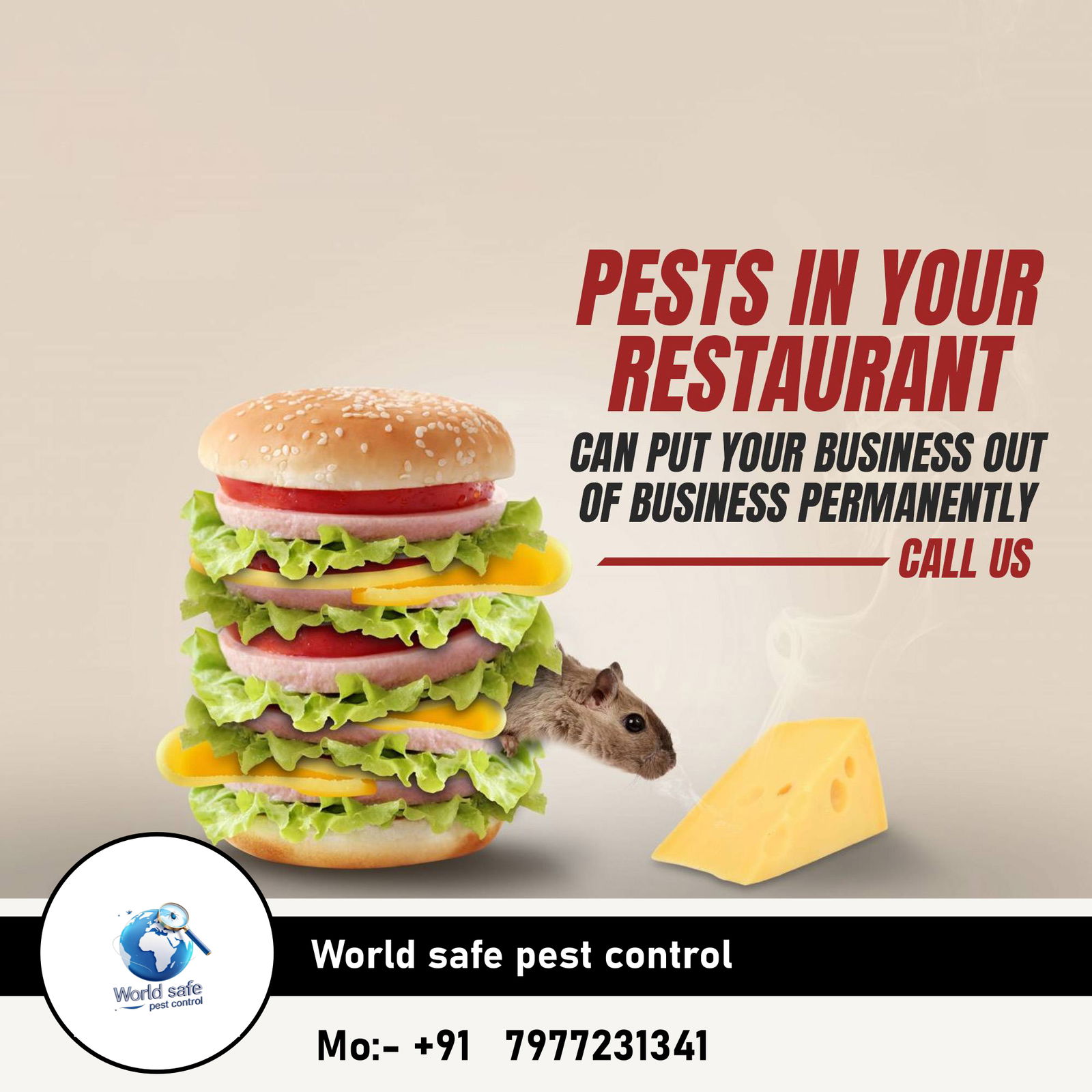 Best pest control in Malad 