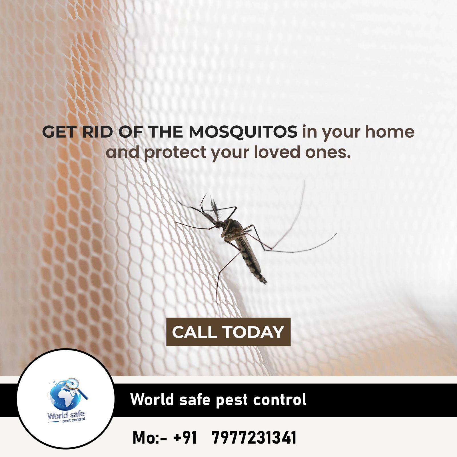 Mosquito control near me 