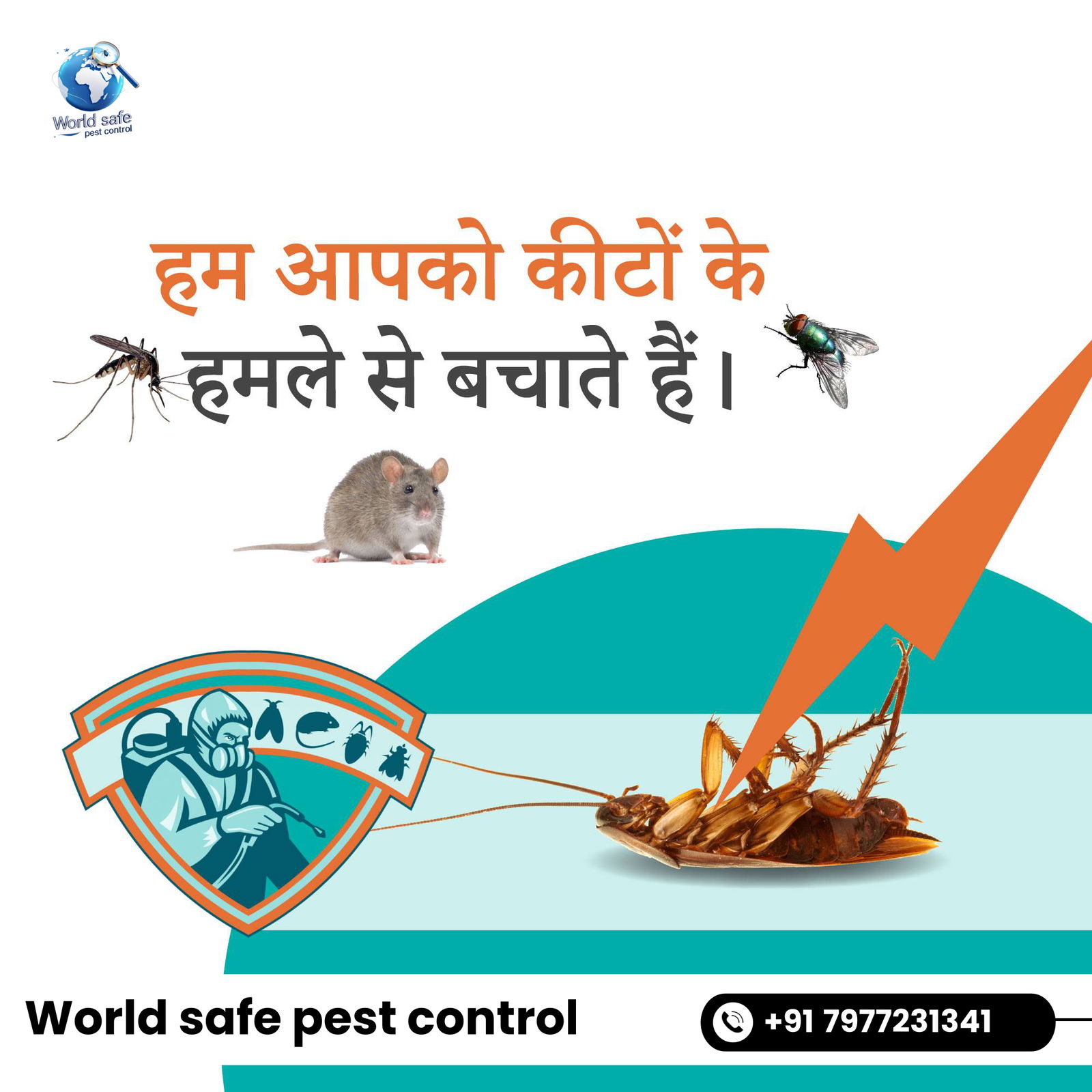 Best pest control near me 