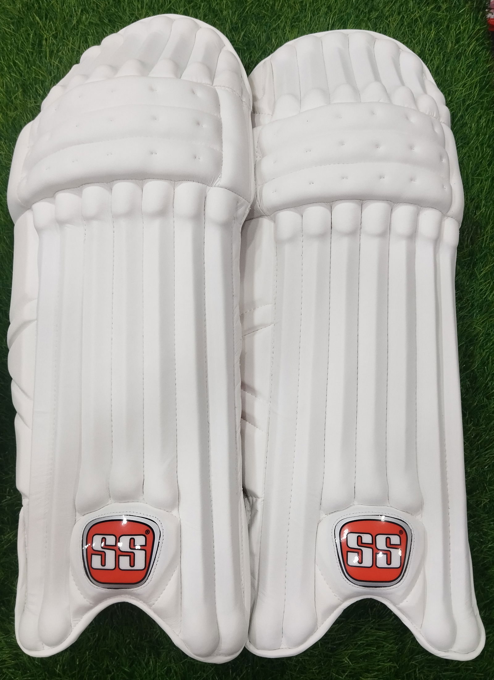 SG Players Cricket Batting Leg Guard Pads Image