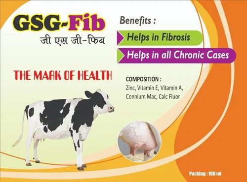 GSG-FIB
