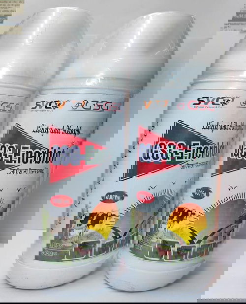 GSG-ENERBLOT Image