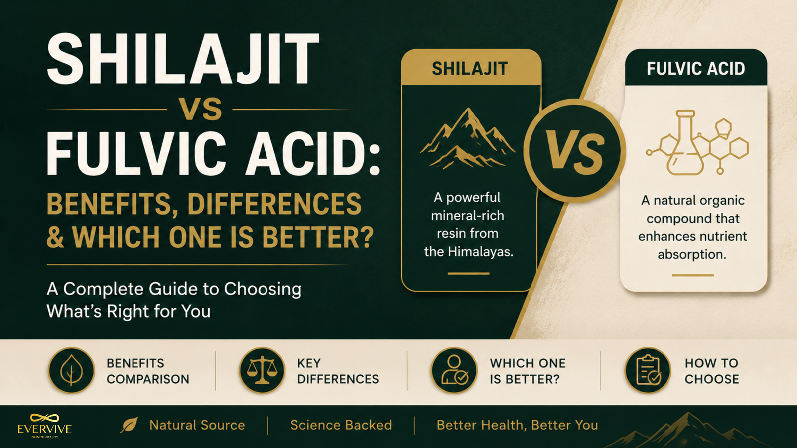Shilajit vs Fulvic Acid Benefits and Differences