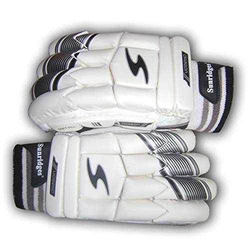 SS Dragon Cricket Batting Gloves Image