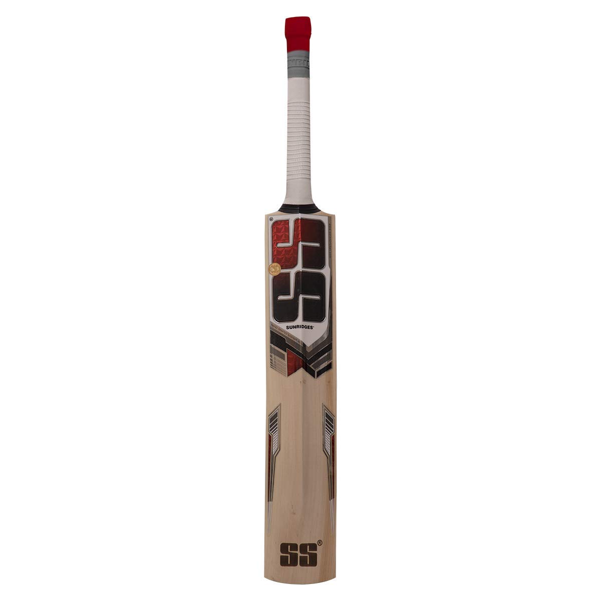 SS gusty kashmir willow cricket bat