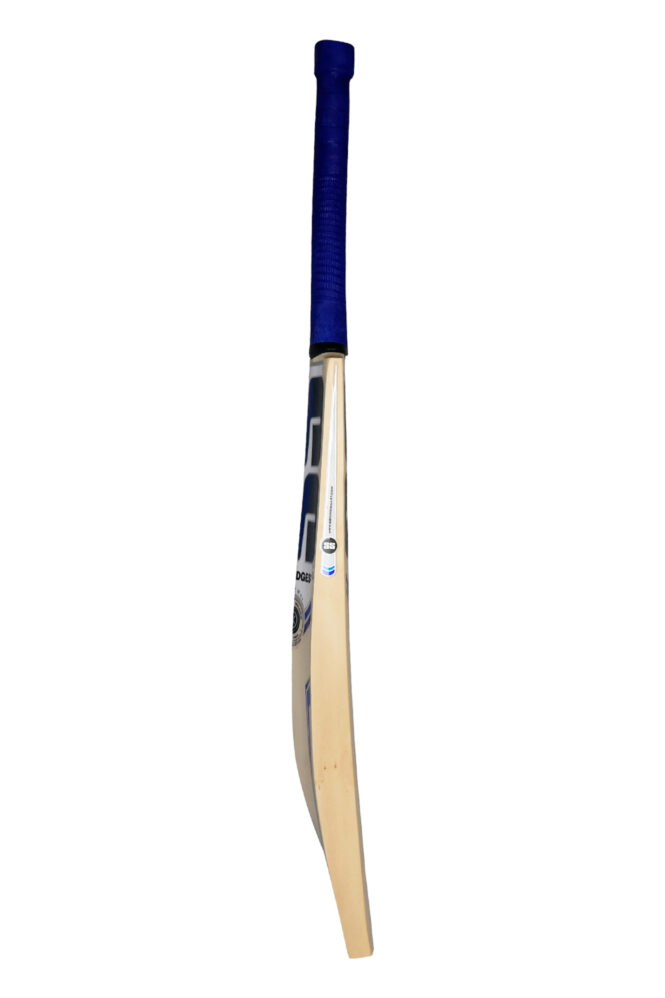 ss impact kashmir willow cricket bat