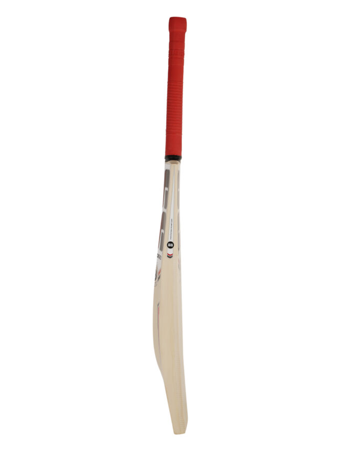 ss slogger kashmir willow cricket bat