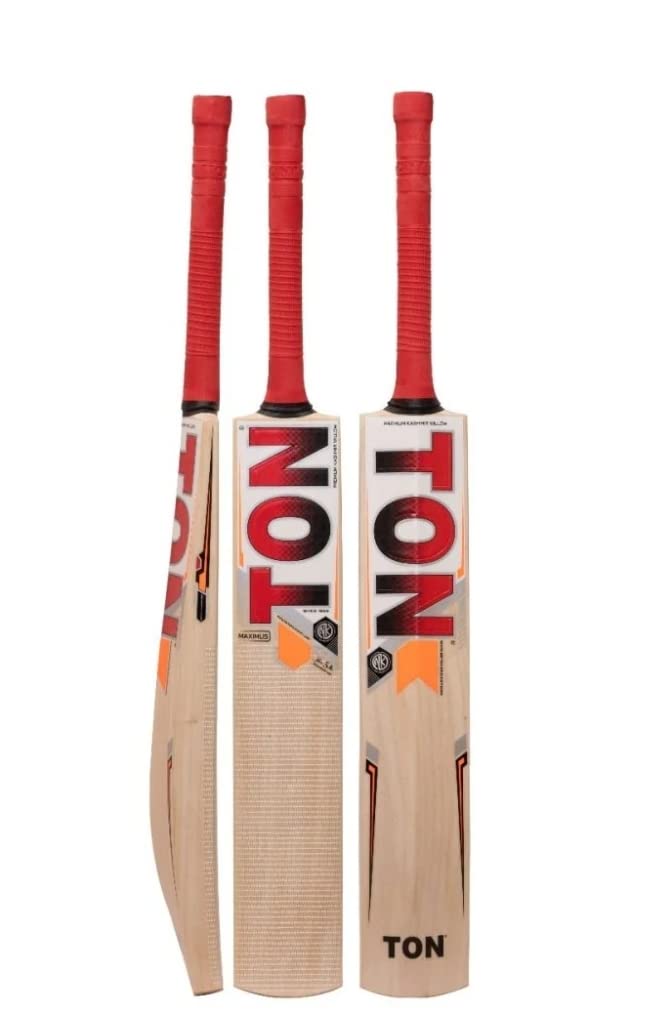 ss ton maximus kashmir willow bat Image