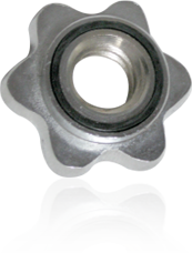 vixen star nut dezire  Image