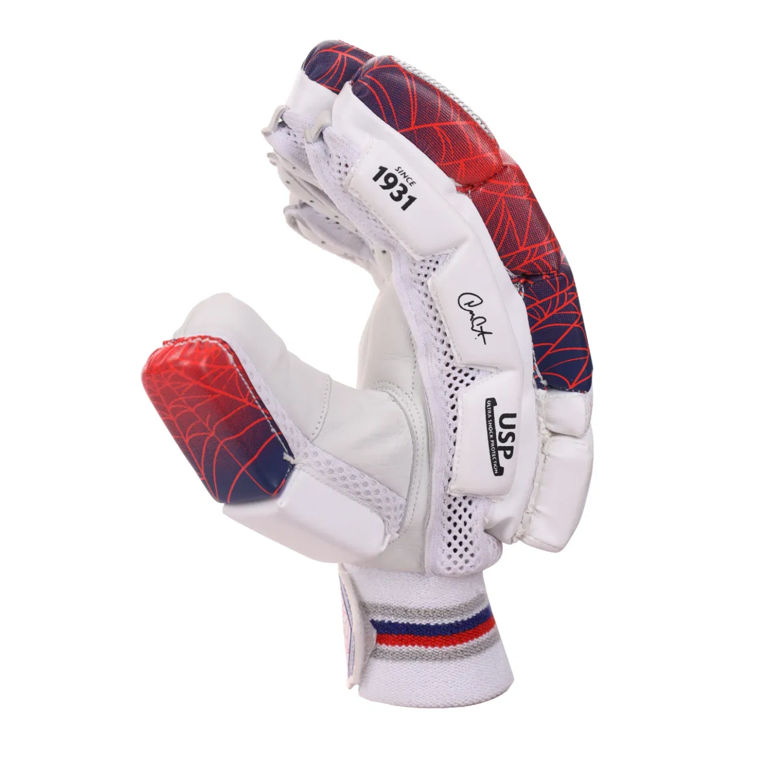 sg rp excelite batting gloves (s.adult) Image