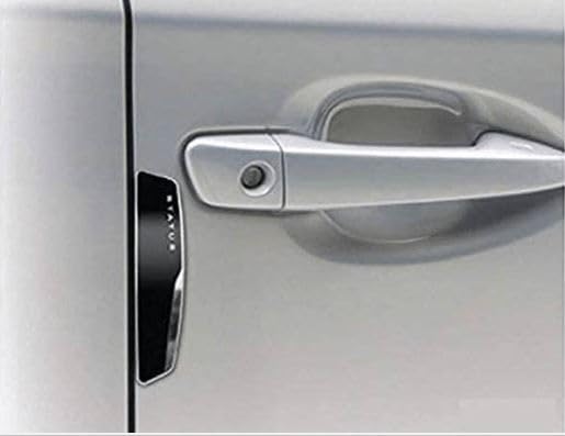 GT White Chrome Door Guard Protection for Cars Image 