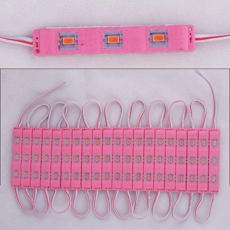 3 LED strips 12V Waterproof 5630/5730 LED SMD Injection module Pink - 20 module Image