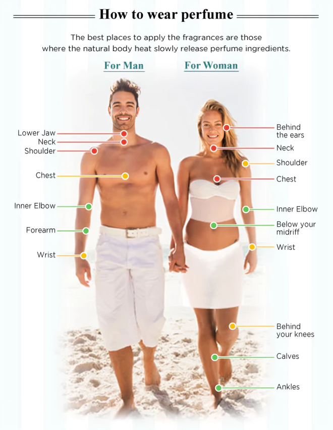 where-to-apply-perfume