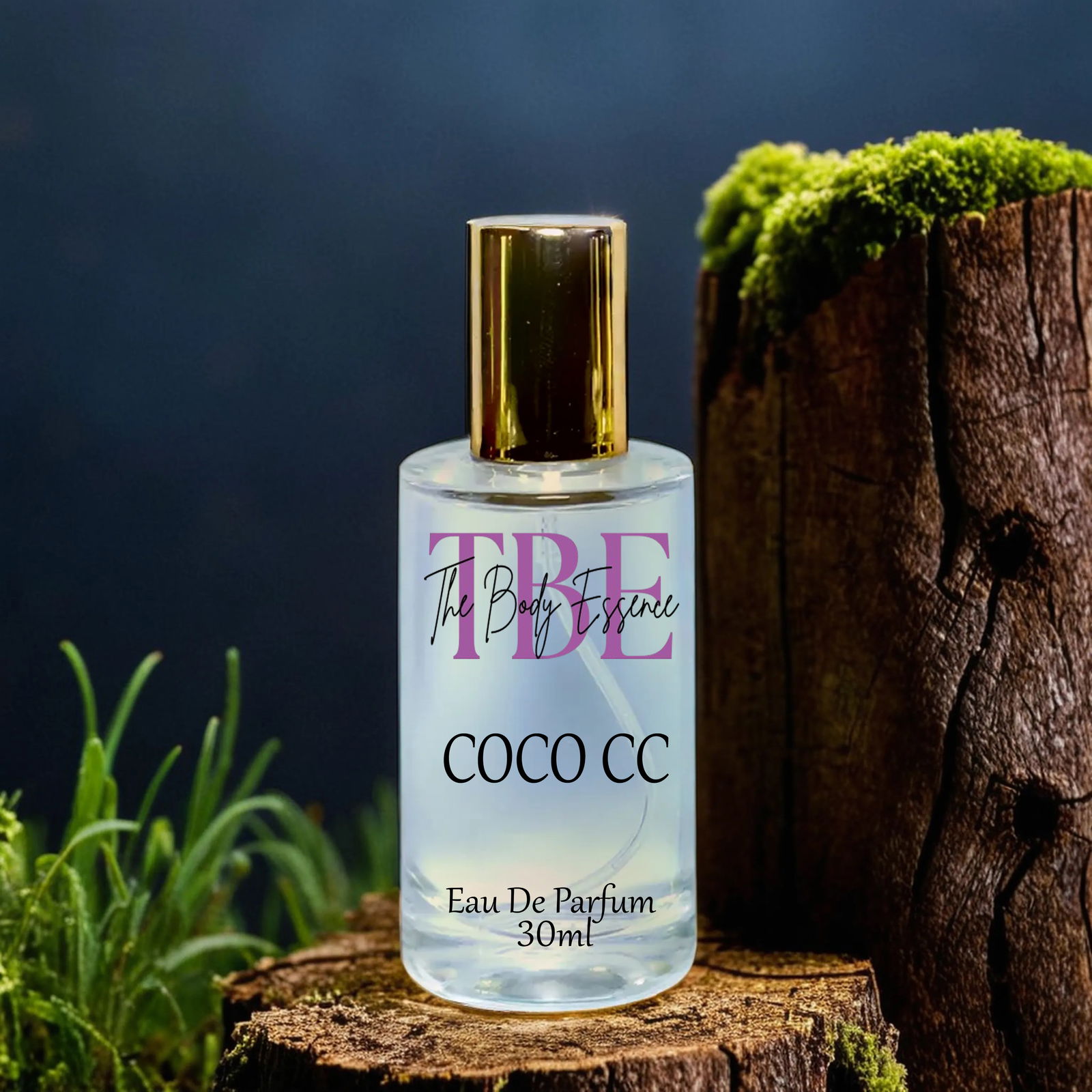 Luxury Perfume Combo for Women's 30ml*4